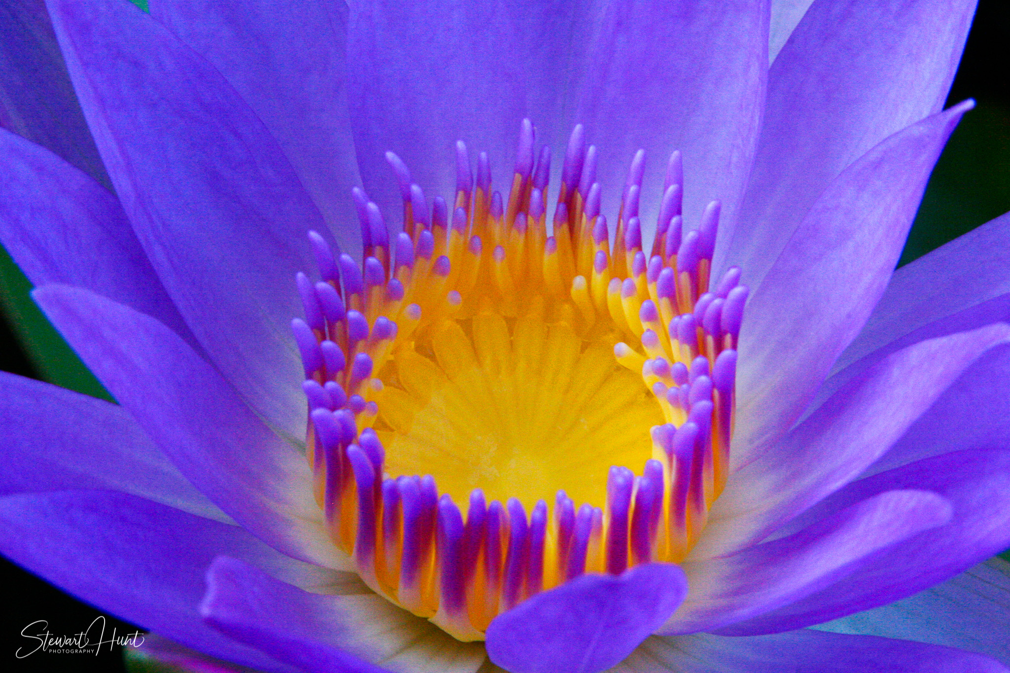 Stew and Tinas Honeymoon D1 Sept Oct 2006  MG 0517